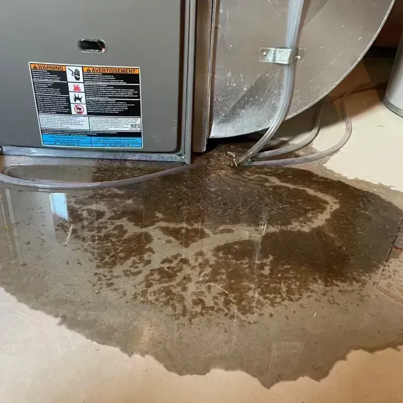 Appliance Leak Cleanup in Sutton, WV